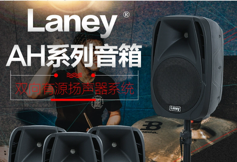 Lenny Laney AH110 AH112 AH115 tổng hợp trống điện guitar bass đa chức năng loa - Loa loa