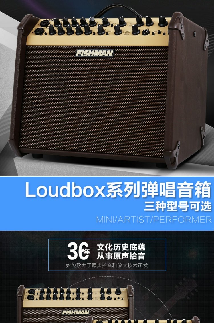 Ngư dân Fishman Loa hộp mini 60W âm thanh đàn piano Âm thanh guitar dân gian - Loa loa loa bose mini