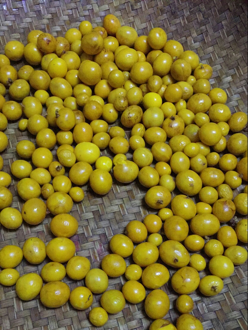Trứng tươi nấu chín vàng trứng 5 kg thú cưng ăn nhẹ tự nhiên làm đẹp bán ướt thức ăn cho chó thức ăn cho mèo - Đồ ăn vặt cho chó pate chó