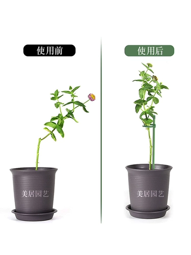 Растения зафиксированы против проникновленной цветочной полки, садовая поддержка одноразовая садовая садовая садовая роза Гидрага, поддерживающая цветочная кронштейна