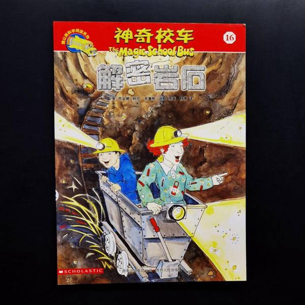 Authentic 90% New Books | Book: Deciphering Rocks 16 | Authentic Real Photos | Original Works by Joanna Corr (Usa), Bruce Dignan; Translated by Jingbo 9787221091697