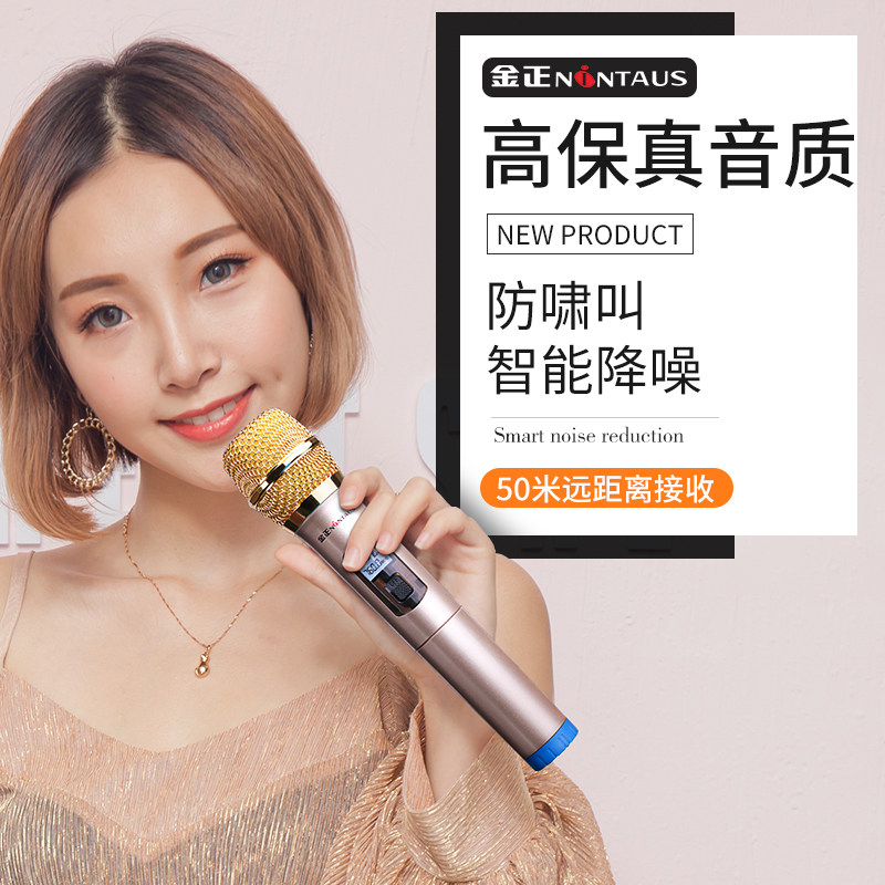 Jinzheng wireless microphone Household universal one drag two U-segment microphone audio singing k song Karaoke universal speaker