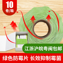 Green mildew-proof sheet high efficiency and environmental protection mildew patches with glue no rubber sheet shoes bags foreign trade EU standards