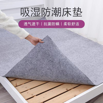 Moisture-proof mat student dormitory moisture-proof felt mat single bed folding mattress floor home tatami moisture-absorbing and mildew-proof