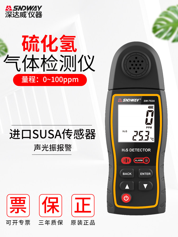 Deepway portable hydrogen sulfide gas detector Toxic and harmful H2S gas concentration value continuous monitor