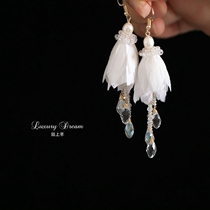 Feather earrings are designed to feel high cold wind ear - headlined Ximmi ear - crash fashion exaggerated long ear nails