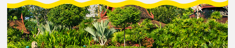 Золотая сталь Foot_33.jpg