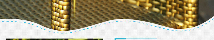 Золотая сталь Foot_91.jpg