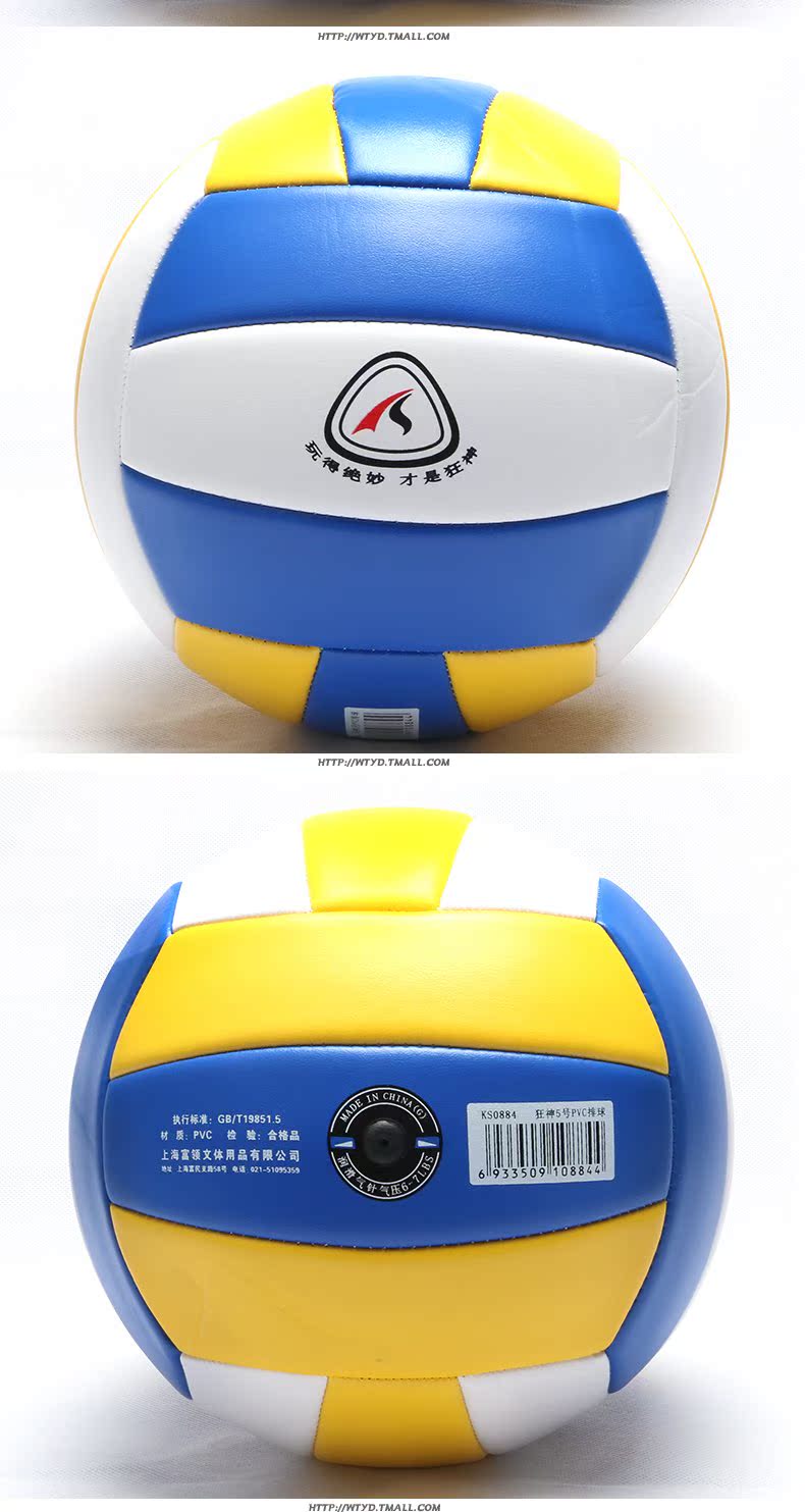 Ballon de volley - Ref 2010618 Image 6
