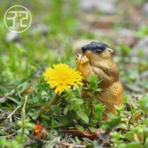 Natural Museum magazine produced the first natural animal hand doll model second bomb