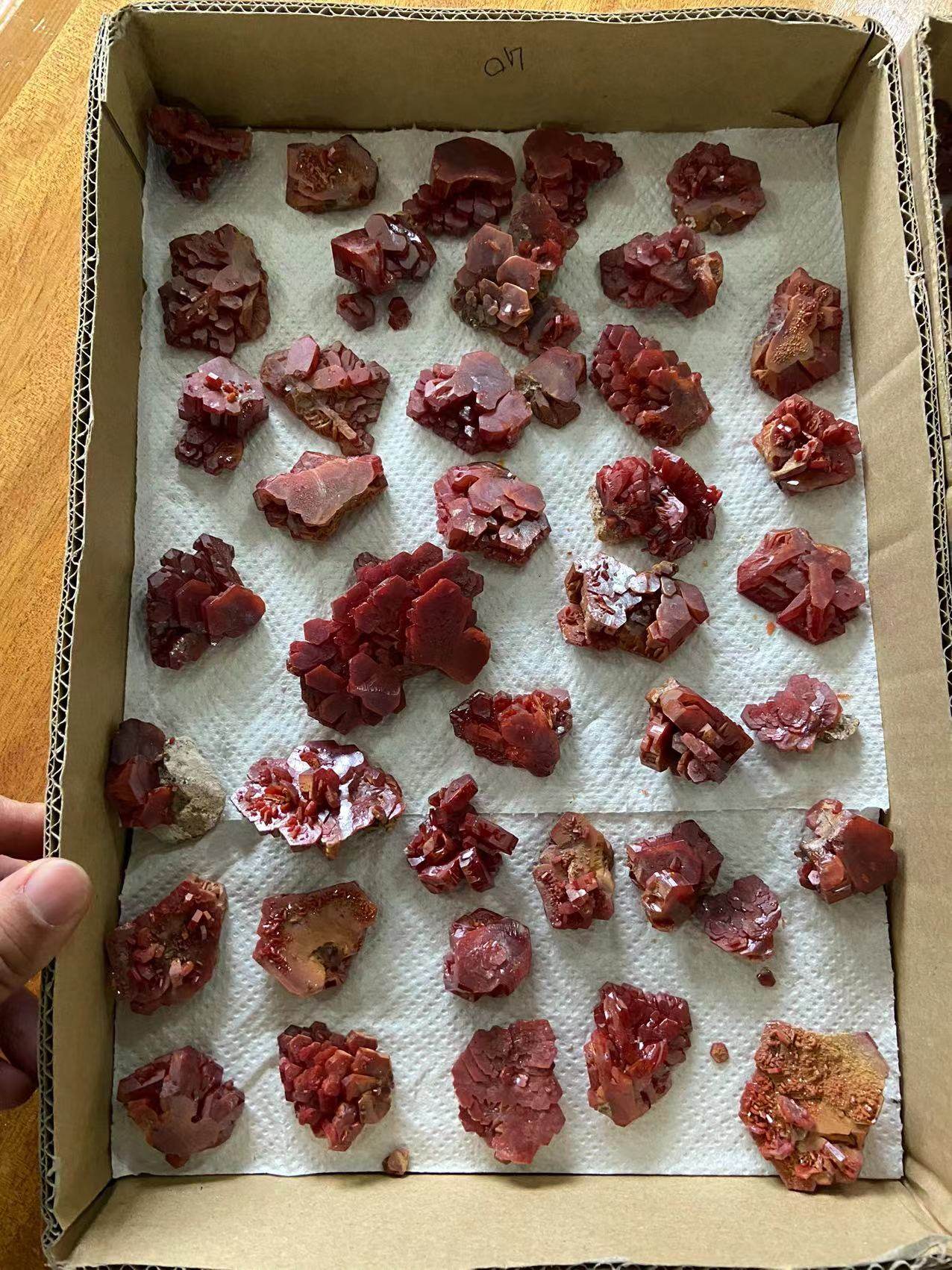 Live exclusively on the RMB10  link-Taobao