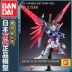 Mô hình lắp ráp chính hãng Bandai RG11 1/144 Destiny Gundam Destiny Gundam Seed Real Bird - Gundam / Mech Model / Robot / Transformers