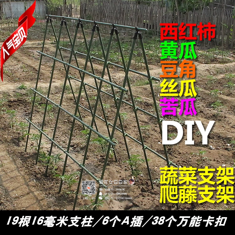 蔬菜爬藤架丝瓜黄瓜葡萄支架网园艺攀爬菜园diy 花支柱藤蔓植物 爱花女豆豆家 蔬菜爬藤架丝瓜黄瓜葡萄支架网园艺攀爬菜园diy 花支柱藤蔓植物 爱花女豆豆家