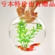 Hoa bình hoa mô phỏng cây xanh bình hoa chậu hoa xanh lê trong chậu trồng cây xanh bình hoa nhà chậu - Vase / Bồn hoa & Kệ