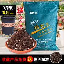 (Selected) White Palm Special Soil 5kg Pack Special Nutrient Soil Loose Breathable Weakly Acidic Green Planting Soil General Soil 3