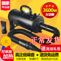 Shaidi dual motor pet water blower Dog hair dryer High-power silent large dog special hair blowing artifact