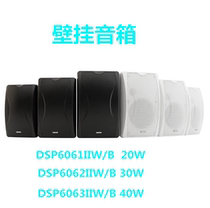 DSPPA Dieppe Public DSP6061II DSP6061II DSP6062II DSP6063II DSP6063II wall-mounted speakers