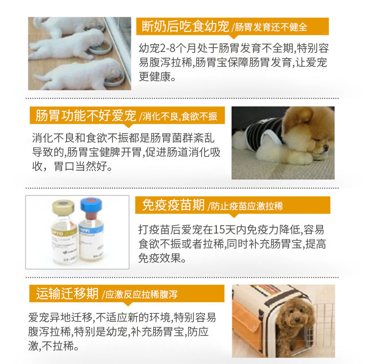 Thú cưng nhỏ, dạ dày, chó, chó, chó con, mèo, Teddy Husky đặc biệt, điều hòa, dạ dày, thú cưng, men vi sinh, 10 bao bì - Cat / Dog Health bổ sung sữa cho chó mèo