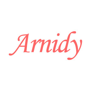 arnidy母婴用品店的LOGO