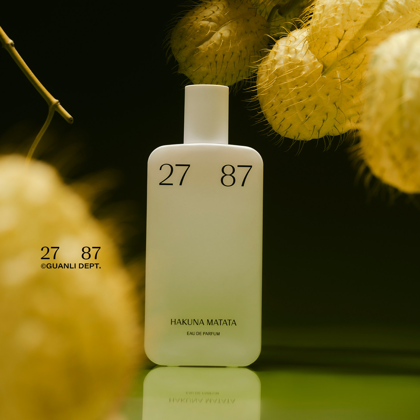 HAKUNA MATATA 27 87 香水 87ml