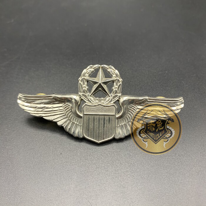 U.S. Metal Badge Senior Flight Badge Badge