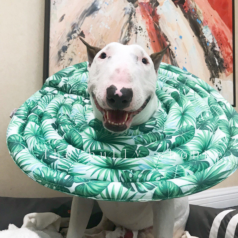 Dog Elizabeth circle large dog anti-licking headgear dog collar pet anti-bite circle cat shame circle dog supplies