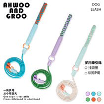 Competition-level dog training rope special p-chain dog training rope for large medium and small dogs dog walking puppy training p-chain dog leash
