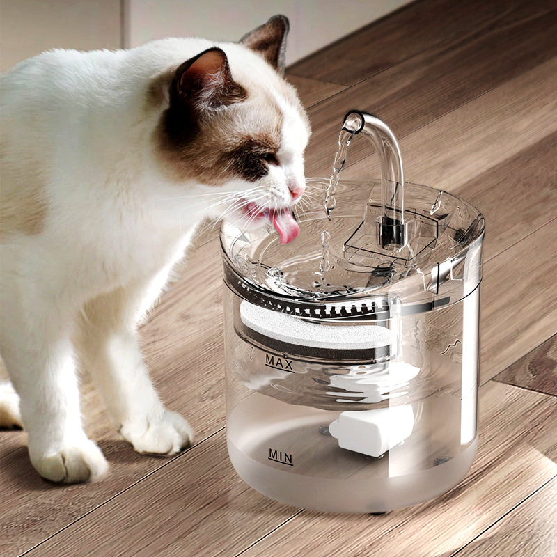 Cat water dispenser Automatic circulation flowing water bowls transparent without plugging in electric pet supplies filter Puppy water deities