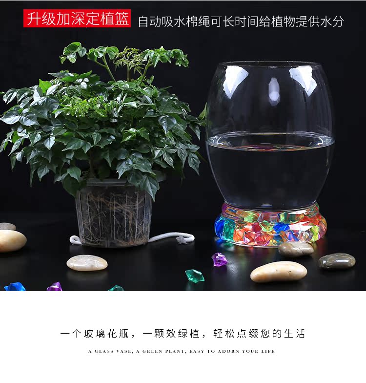 Bình thủy tinh trồng cây thủy tinh chai thủy tinh màu xanh nước bình hoa chậu hoa máy tính để bàn chậu hoa container - Vase / Bồn hoa & Kệ mẫu chậu cây cảnh đẹp