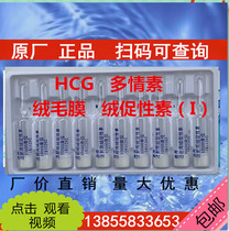 Loach oxytocin HCG amorous hormone ornamental fish Four family fish breeding fry breeding