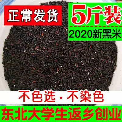 Northeast farmhouse self-produced fresh black rice five catties of whole grains black rice porridge black rice porridge bulk black rice non-10kg