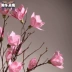 Hoa mộc lan cành hoa khô cành cây khô trang trí cây mộc lan hoa nhân tạo phòng ngủ sàn phòng khách tự nhiên - Hoa nhân tạo / Cây / Trái cây bình hoa giả đẹp Hoa nhân tạo / Cây / Trái cây