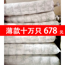 Disposable gloves food catering thickened plastic transparent PE film barbecue take-out duck neck snack factory outlet