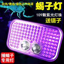 New 109 Purple Light Capture Scorpion head headlights wearing portable charging lithium batteries Scorpion White Yellow Purple Light