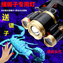 Outdoor special induction scorpion Three-head scorpion headlights Purple Light light intense light charging head-on LED head scorpion lamp