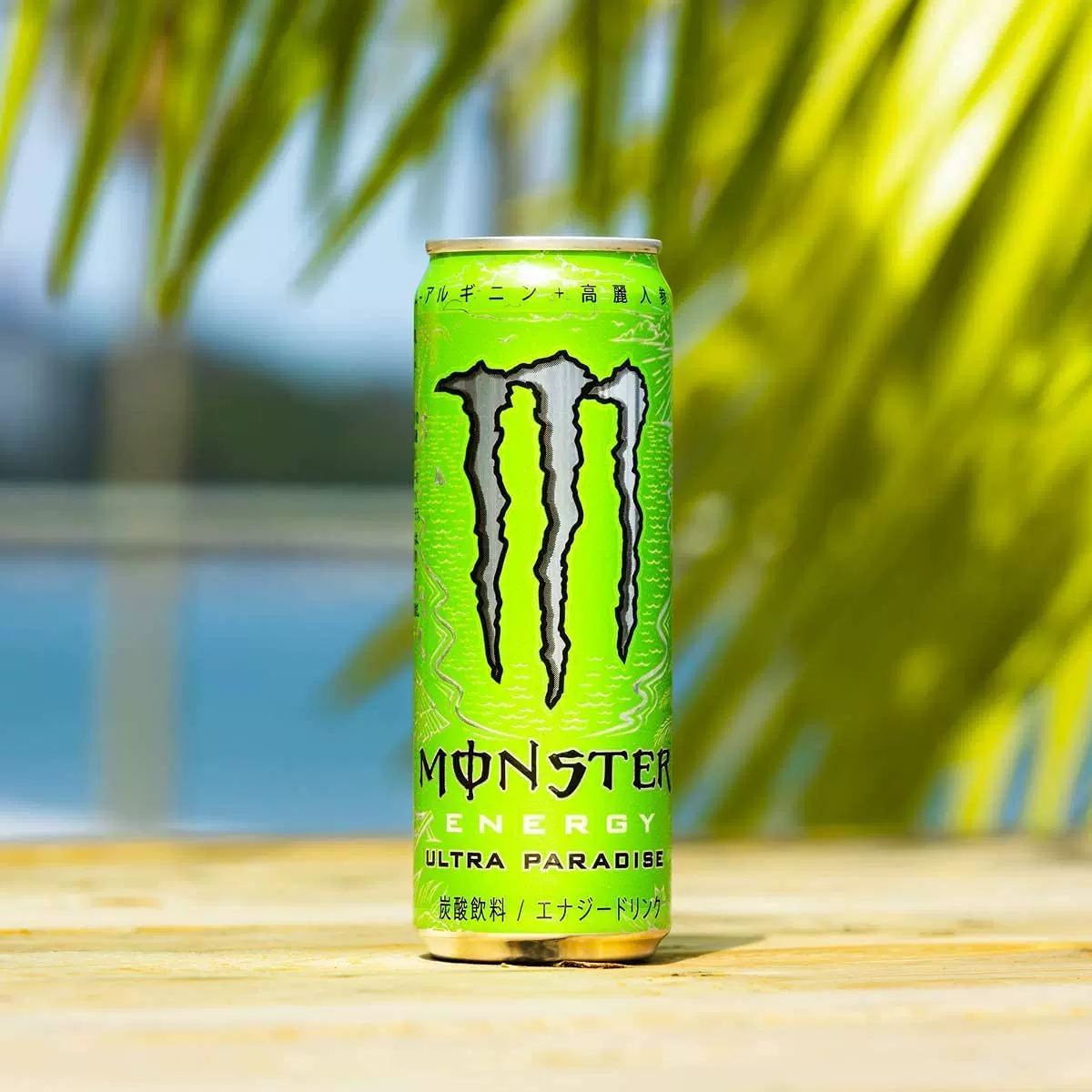 [48Monster355ml]