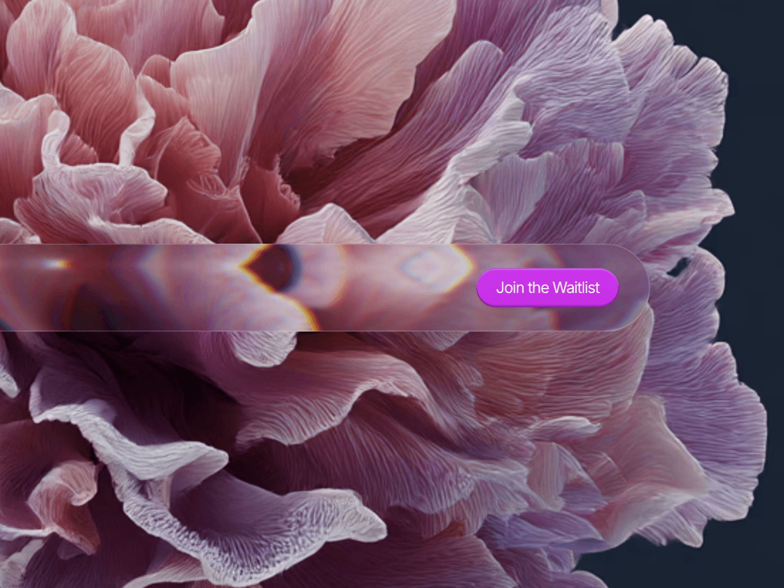 Framer中文网免费组件模板、Framer组件、Framer模板、Framer教程、Framer汉化