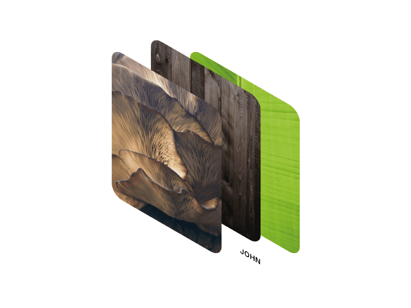 Framer中文网免费组件模板、Framer组件、Framer模板、Framer教程、Framer汉化