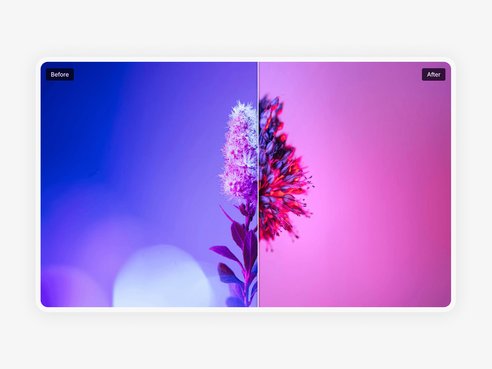 Framer中文网免费组件模板、Framer组件、Framer模板、Framer教程、Framer汉化