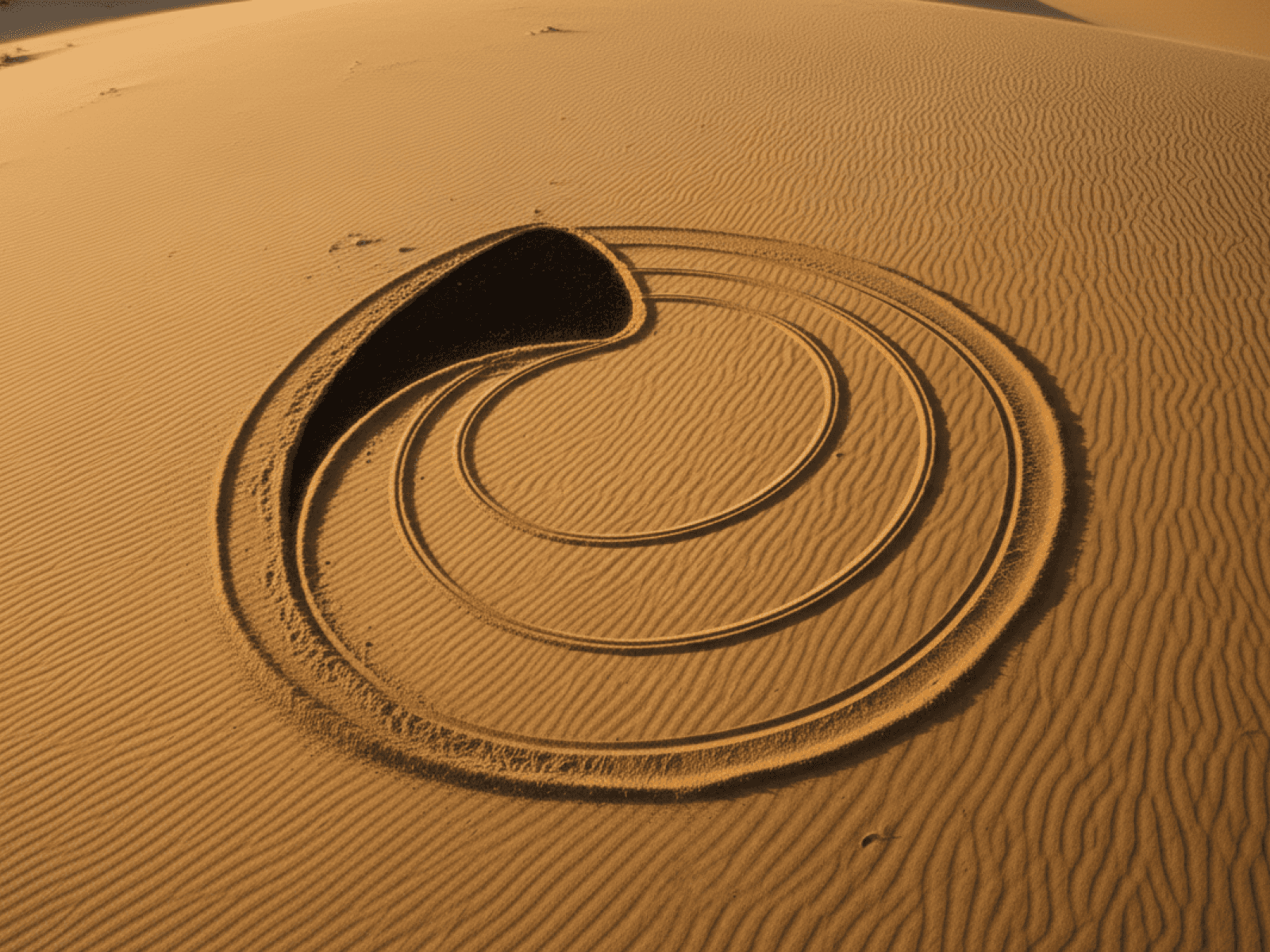 Framer中文网免费组件模板、Framer组件、Framer模板、Framer教程、Framer汉化