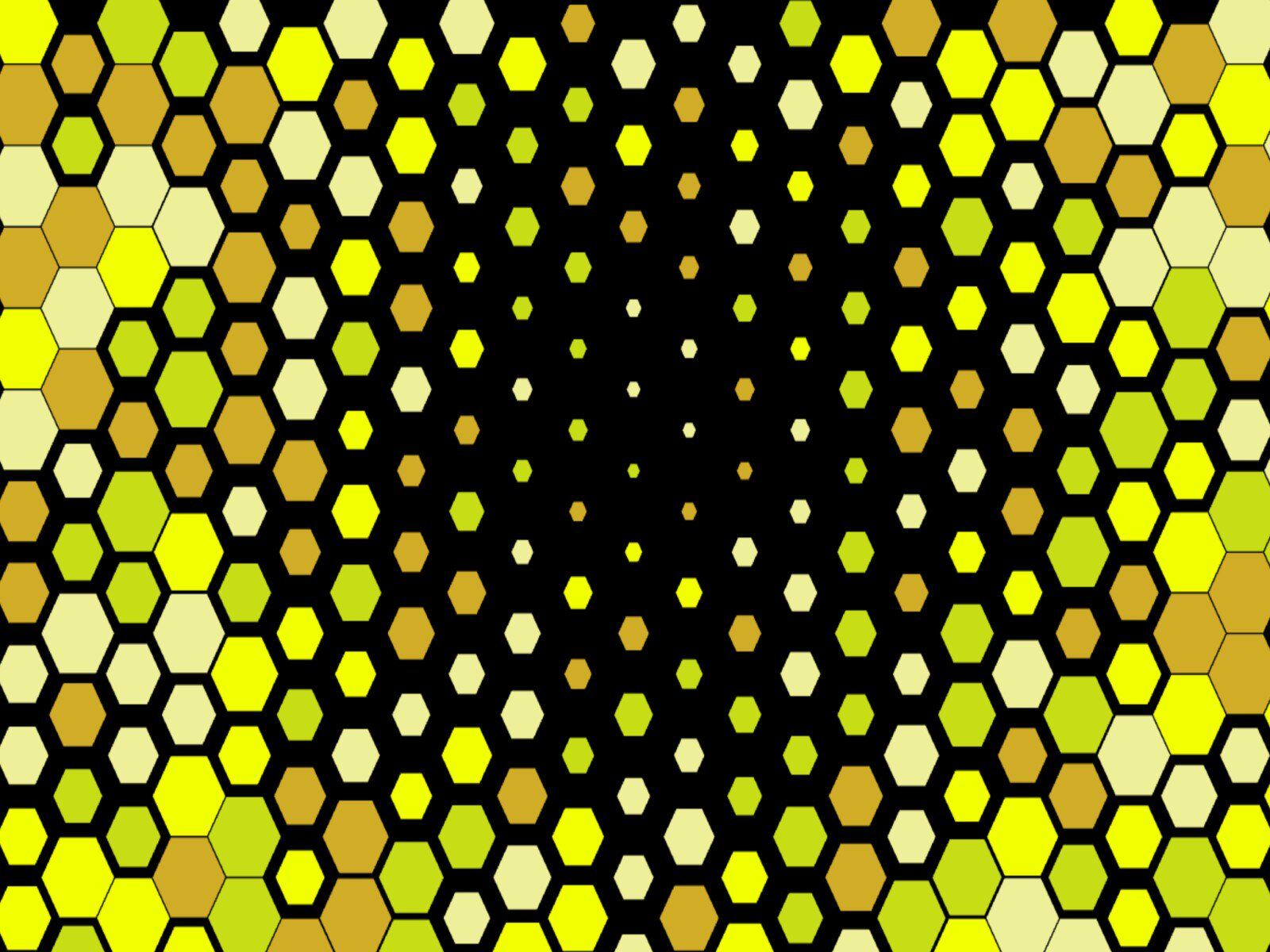 Framer中文网免费组件模板、Framer组件、Framer模板、Framer教程、Framer汉化