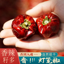 Bell pepper dried chili 500g spicy and fragrant authentic Sichuan dried round chili oil splashed spicy dried lantern chili