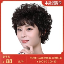 Real hair wig female short hair short curly hair real hair silk middle-aged and elderly breathable natural fluffy face repair mother wig set