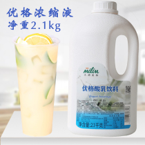 Lake Taihu Merrill Lynch Uber Milk Concentrated Lactic Acid Bacteria Drink Milk Tea Shop Exclusive Ug Concentrated Liquid Beneficial Bacteria more than two 1kg