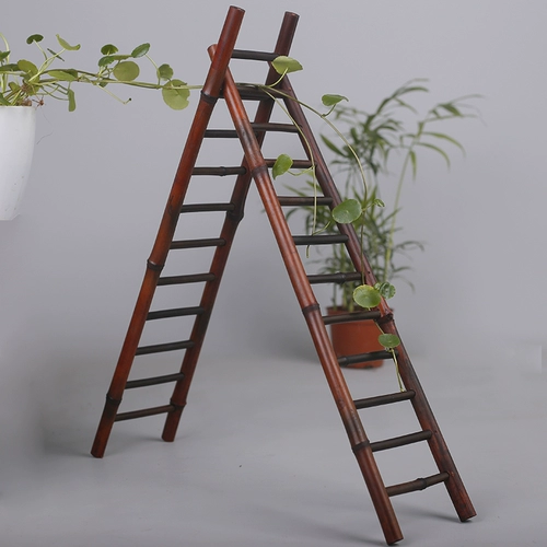 Zizhu чайная чашка полки с твердым деревом классы чай слишком изготовление Fortune Gaobo Gongfu Tea House Tea Ceremony аксессуары