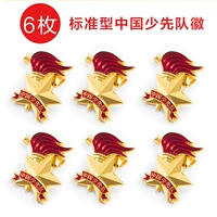 [Standard China Young Pioneer Label] Домашняя игла (6 установок)