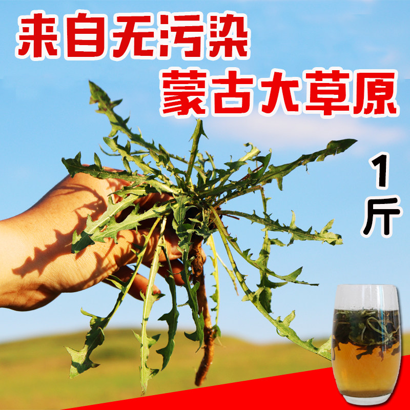 Lunbeier grassland premium pure wild dandelion tea whole mother-in-law with dried root 500g