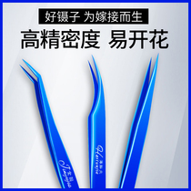 Grafting eyelashes special eyelash tools Camellia flowering planting Dolphin clip High precision gold feather tweezers