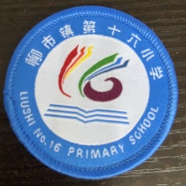  The 16th Primary School in Liushi Town Yueqing City