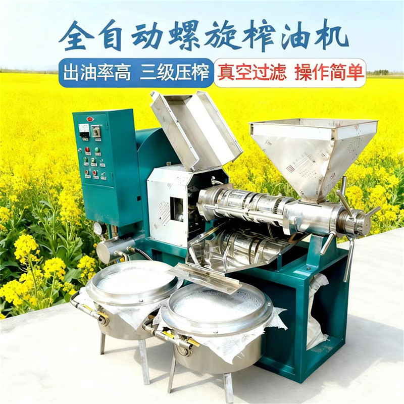 Multifunctional Spiral Rapeseed Oil Press, Commercial Large-Scale Peanut Oil Press, Soybean and Sesame Fully Automatic Oil Press